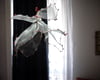 Wire angel sculpture, Contemporary art objects