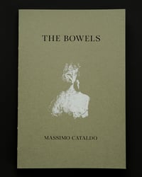 The Bowels - book - Massimo Cataldo