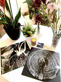 Special Edition Vinyl LP