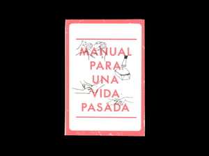 Image of Manual para una vida pasada