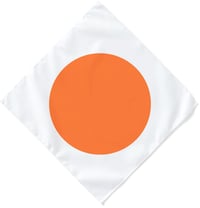 GSTKO GLOBAL® 2022 Employee Bandana