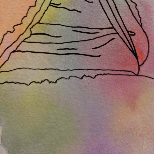 Zara Panties Rainbow  watercolor painting 