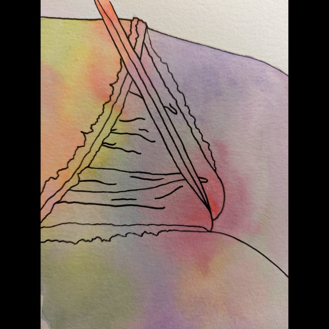 Zara Panties Rainbow  watercolor painting 