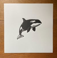Image 1 of Orca