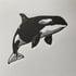 Orca  Image 3