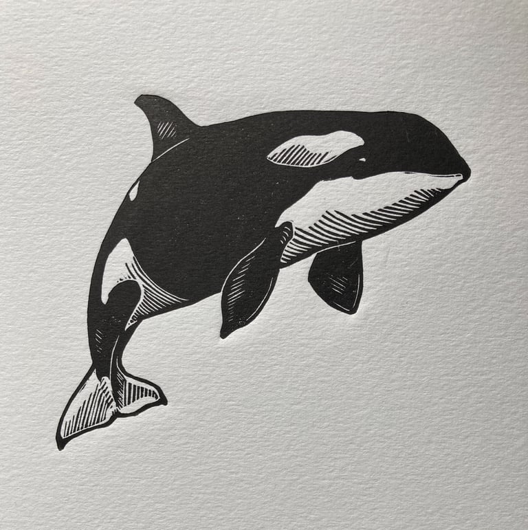 Orca Image 3