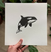 Image 2 of Orca 