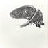 Barn Owl in Flight - Wood Engraving  Image 3
