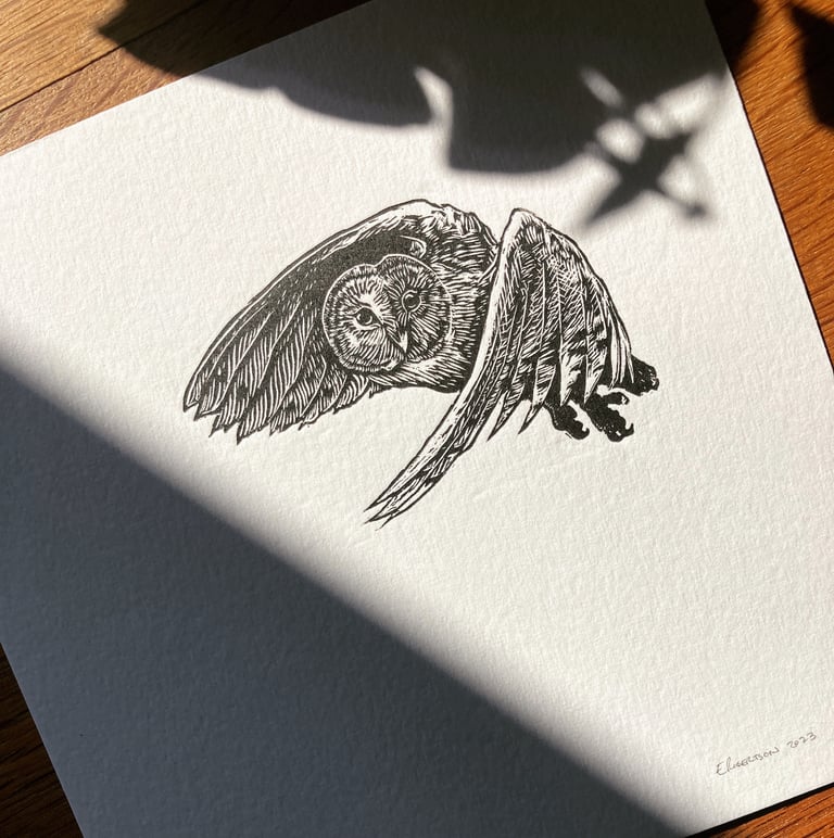 Barn Owl in Flight - Wood Engraving Image 4