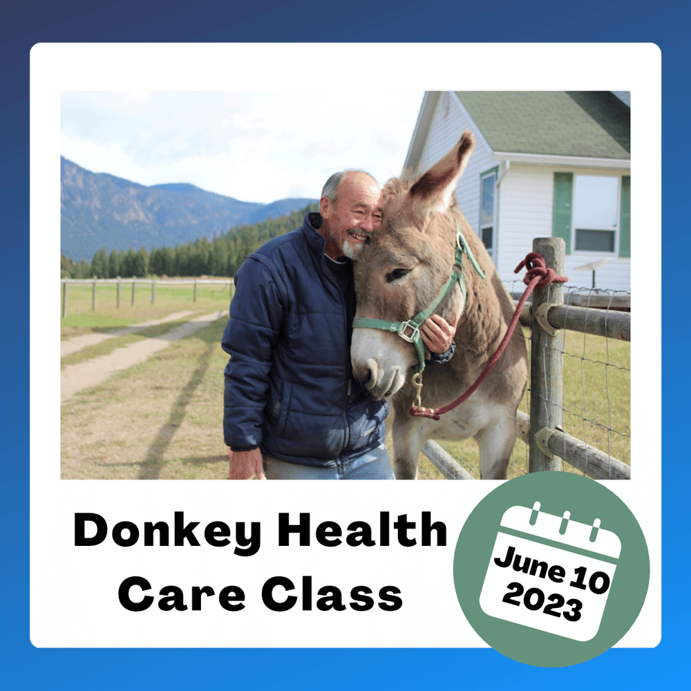 Image of Donkey Health Care Class
