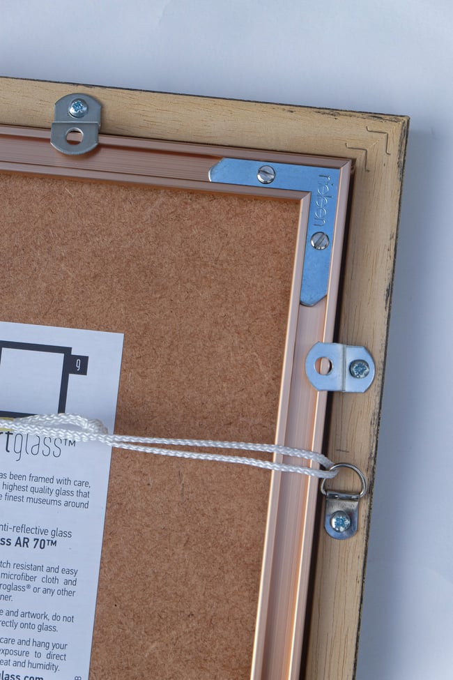 Framed Antique Botanical Print circa 1920's no.1