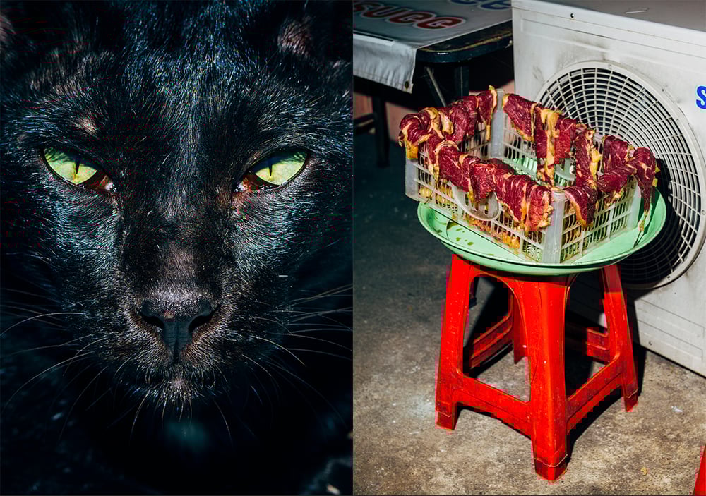 Image of LAST COPIES: Nikita Teryoshin - Backyard Diaries Vol.2 Black Cat Edition