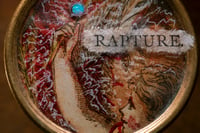 Image 2 of Brooch: RAPTURE. 2023