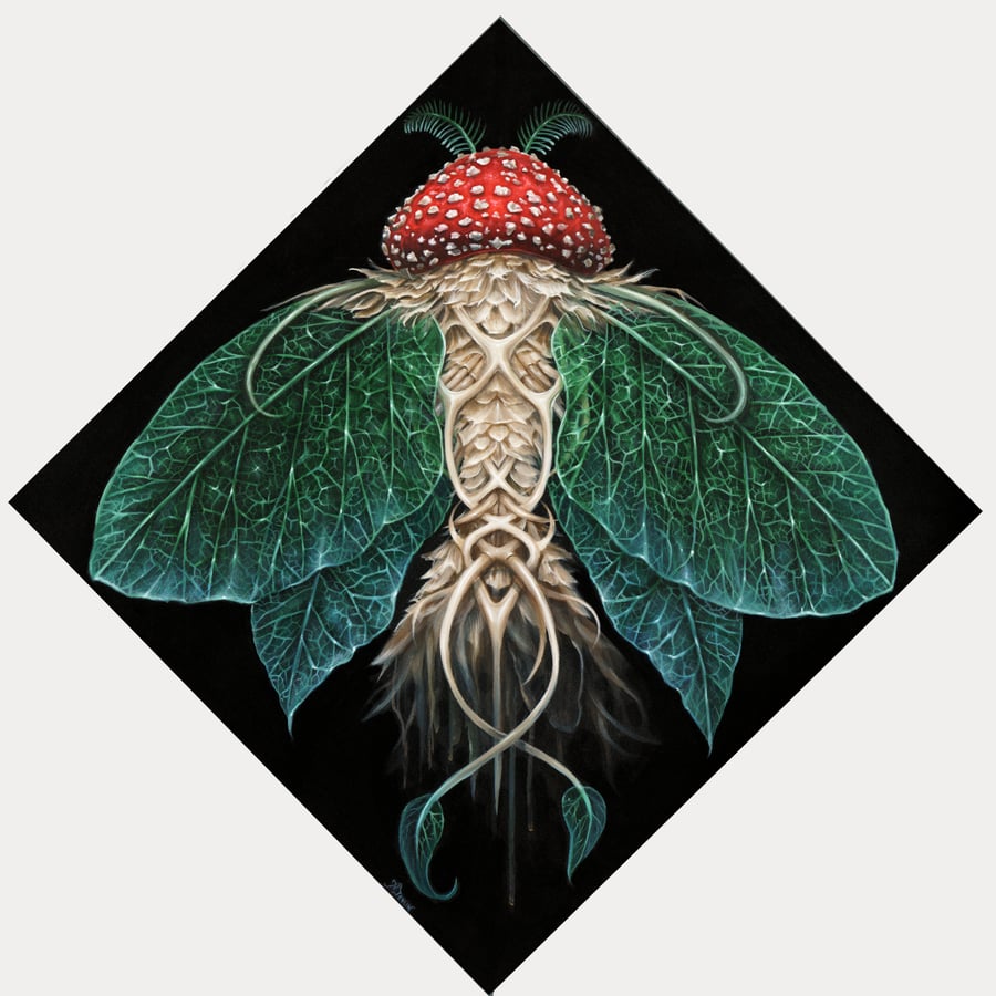 Image of “Amanita Lepidoptera” matted print