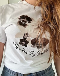 Image 2 of Chiquitita