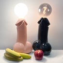 Image 3 of Cock Lamps
