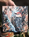 A Chipper Morning –Red Bellied Woodpecker bird painting
