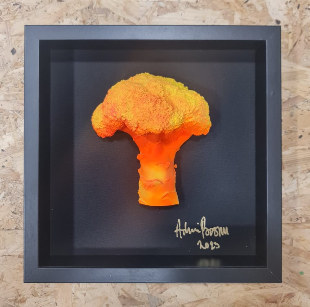 Image of FLAME II