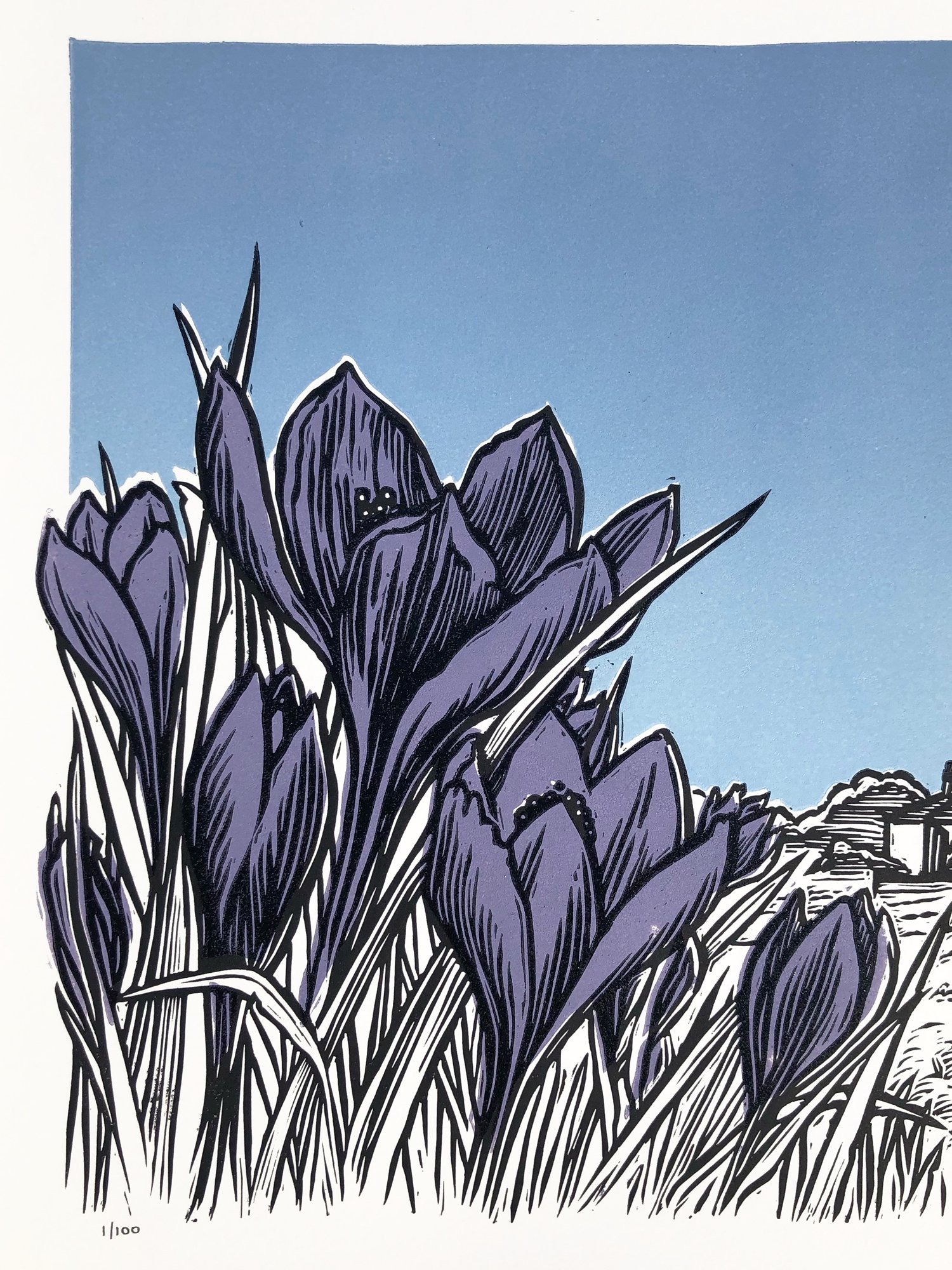 Spring Almanac linocut print | matpringleillustration