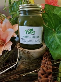 Seamoss with Moringa