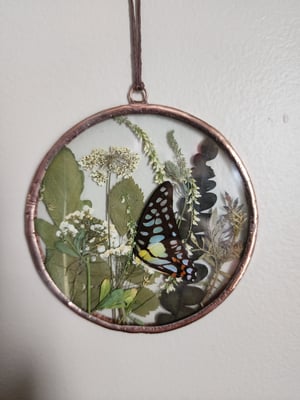 Wildflower Field With Butterfly