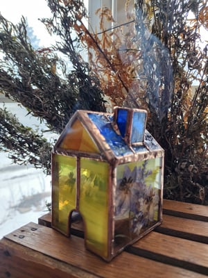 Delphinium & Yellow Incense Cabin