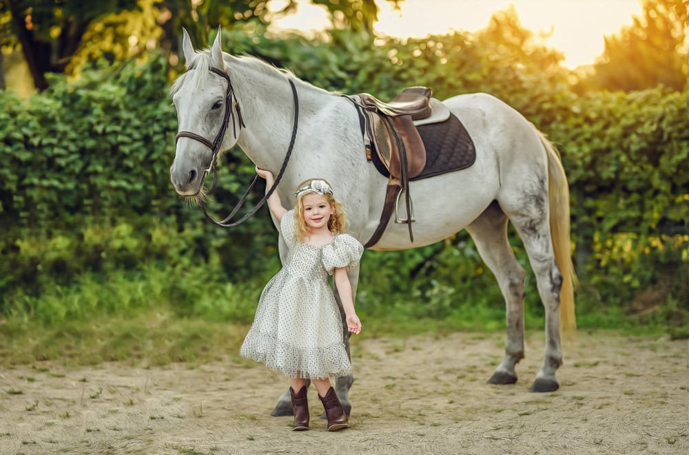 Image of MAGICAL HOLIDAY/Stable Session Sunday October 29th