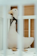 The Animal Plush 