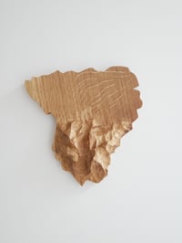 Image 1 of Sculpture murale du "Béarn"