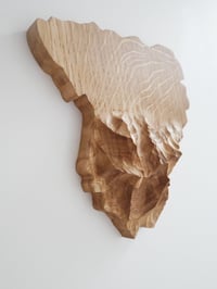 Image 2 of Sculpture murale du "Béarn"