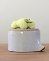Pancake Frogget