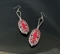 Image 1 of Sparkling Tarti