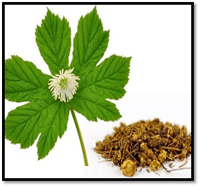 Goldenseal
