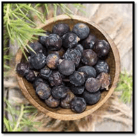 Juniper Berries