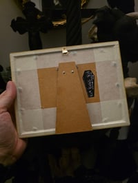 Image 3 of Cat Collection - Large Cat engravings with real preserved web- R