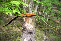Image 5 of 2024-01