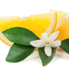 Orange Blossom Honeybee Glycerin Soap