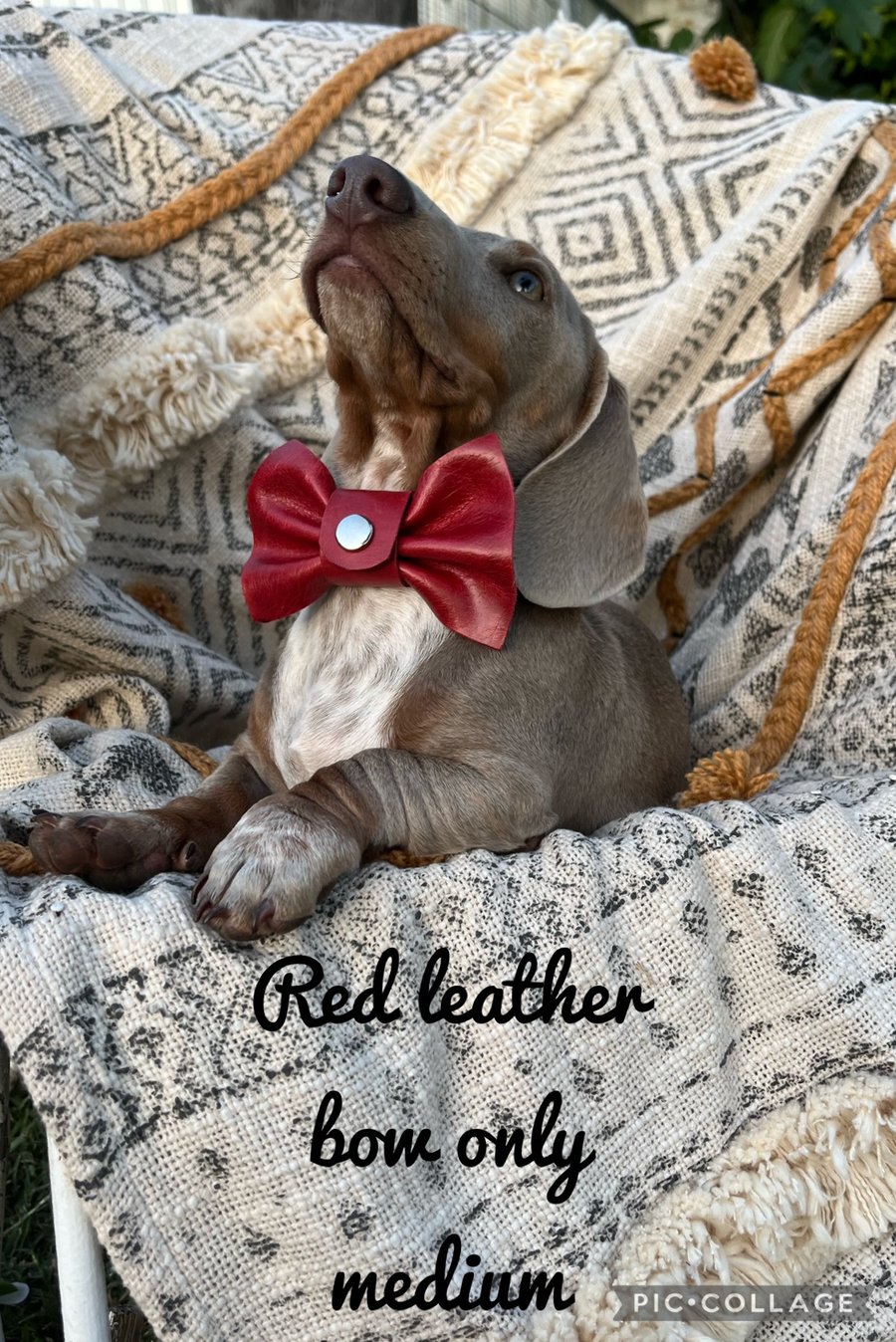 Image of Italian Leather handmade bow 