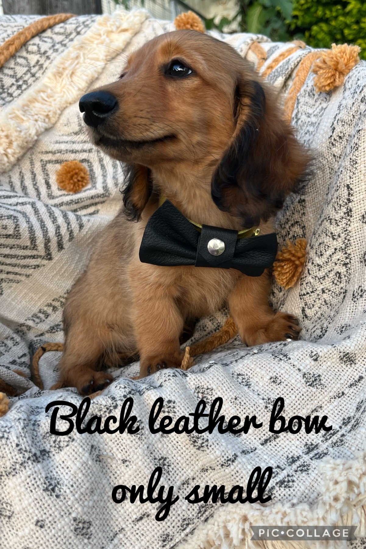 Image of Italian Leather handmade bow 