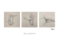 Image 1 of CARD: Mugshots – David/Orange County