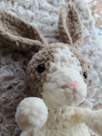 Image 5 of Bestie the Bunny 