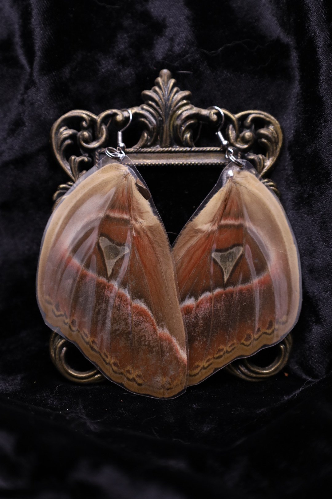 Atlas Moth Earrings (Bottom Wings)