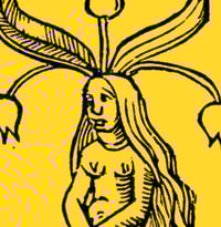 A digital charm - female mandrake