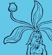 A digital charm - male mandrake