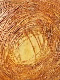 Image 3 of VORTEX 18