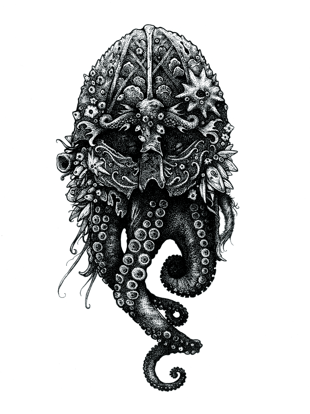 Image of Anchorite (Octo)