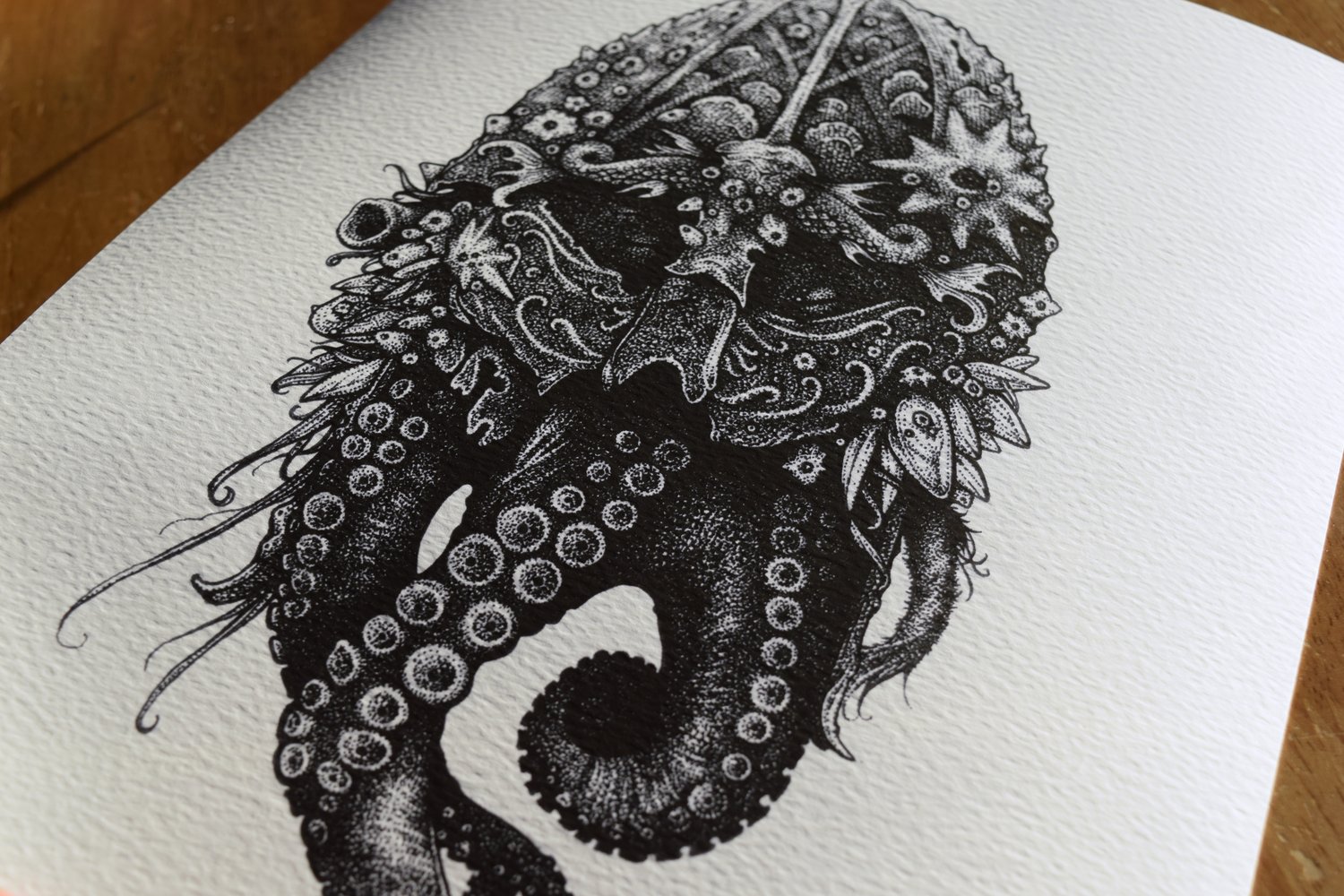 Image of Anchorite (Octo)