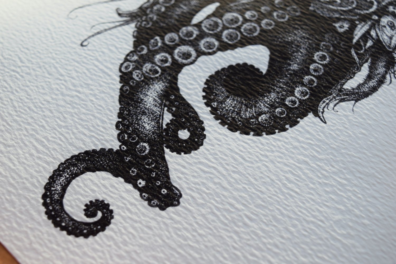 Image of Anchorite (Octo)