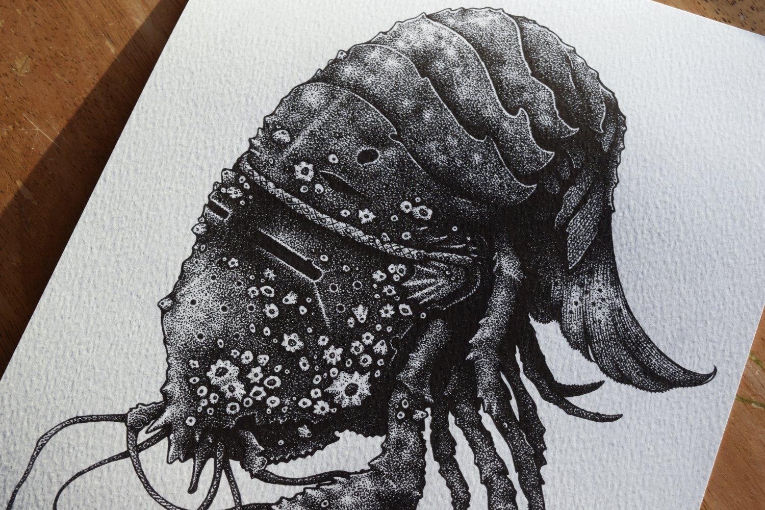 Image of Anchorite (Claw)