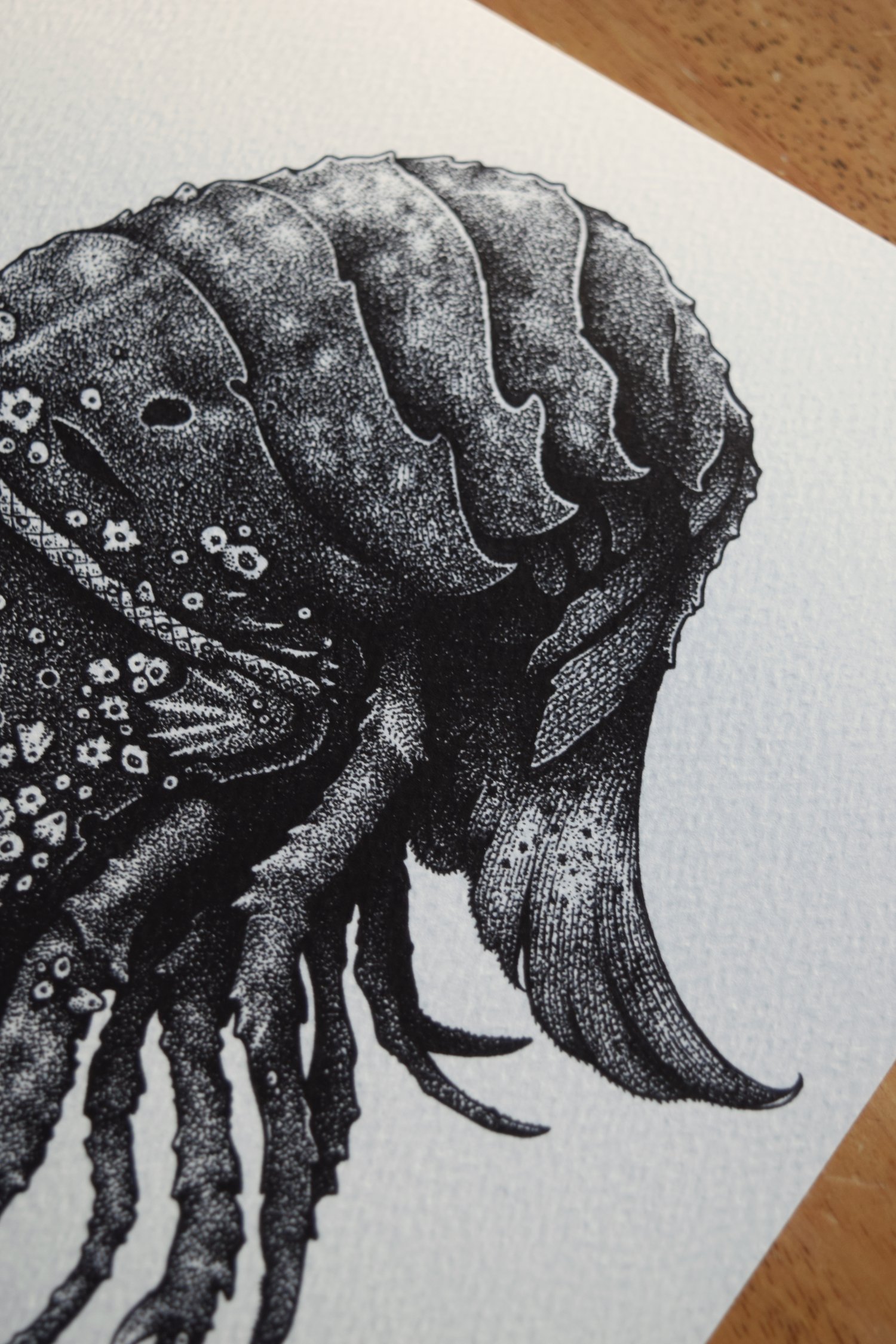 Image of Anchorite (Claw)